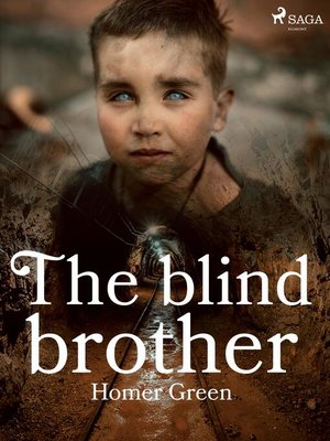 cover image of The Blind Brother